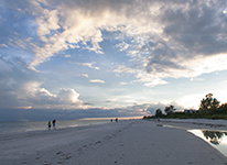 Walk Along the Beach at Sunset